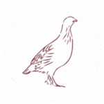 Servicio de cafés delivery